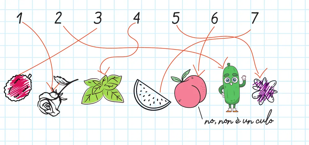 Dettaglio del menù 7COINS: i sette spritz collegati ai loro frutti con frecce disegnate a mano